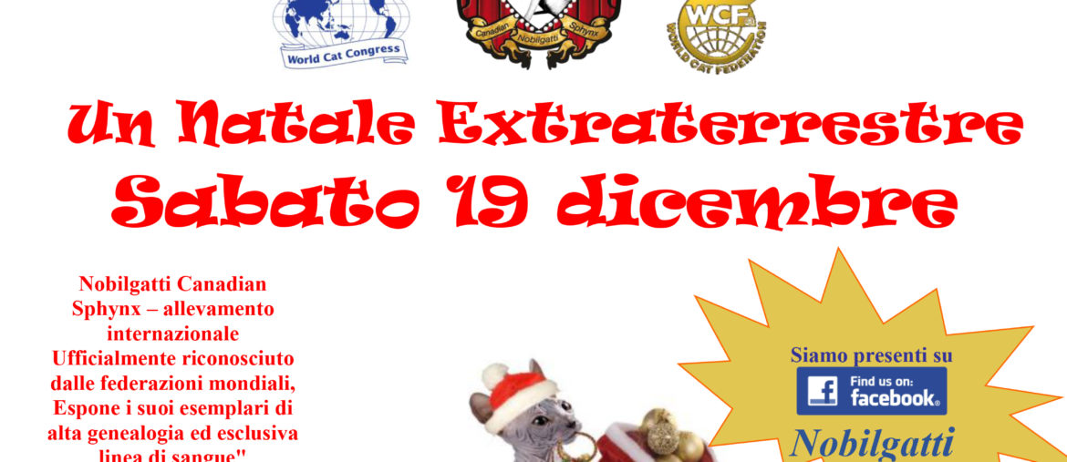 Un Natale Extraterrestre, Palmanova 19.12.2015