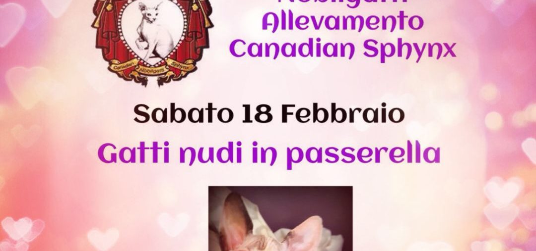 Nudini in passerella, Palmanova (UD) 18-02-2017