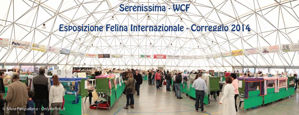 Esposizione Internazionale Correggio (RE) 12,13-04-2014