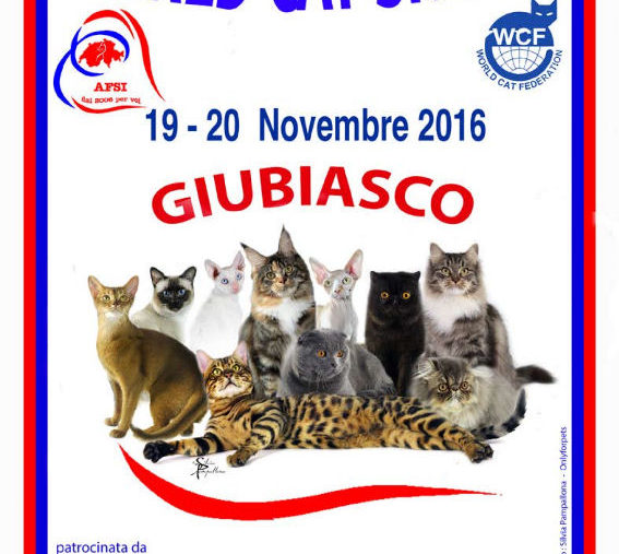 Mondiale Felina Giubiasco (CH) 19,20-11-2016