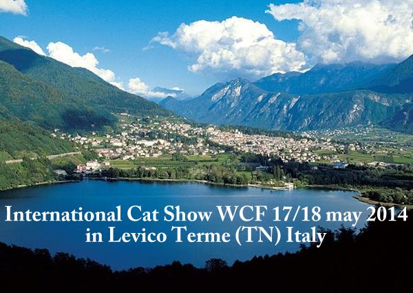 Esposizione internazionale felina Levico Terme (TN) 17,18-05-2014