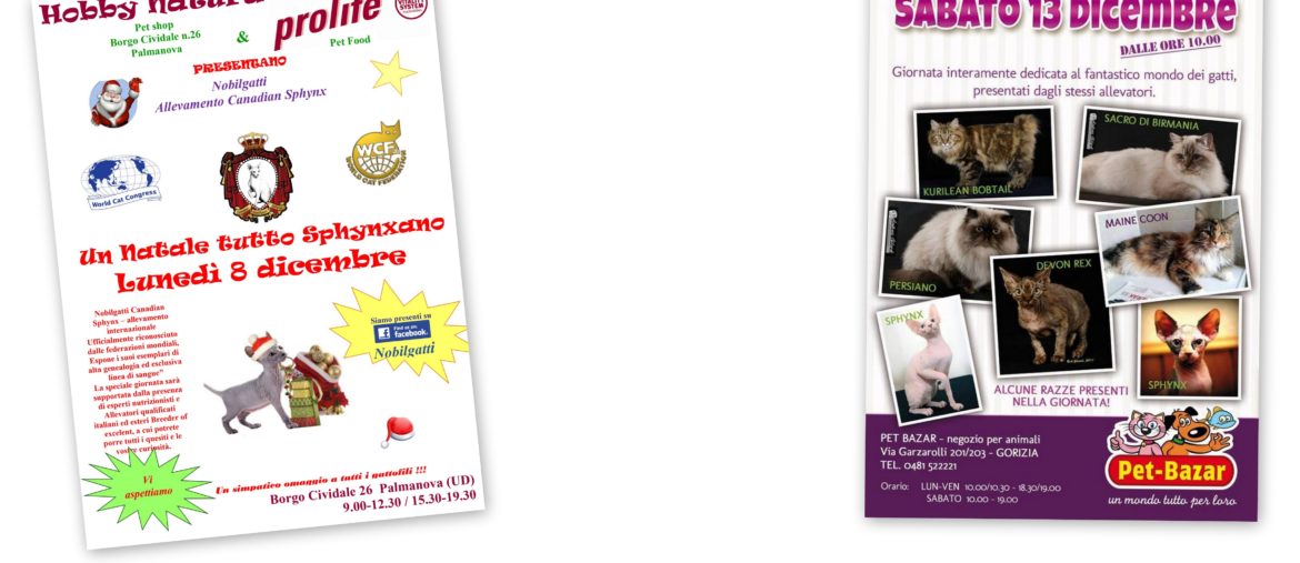 Natale a tutto Sphynx Palmanova e Gorizia 8/13-12-2014