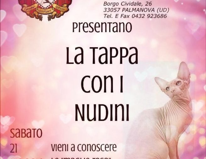 La tappa con i nudini, Palmanova (UD) 21.05.2016