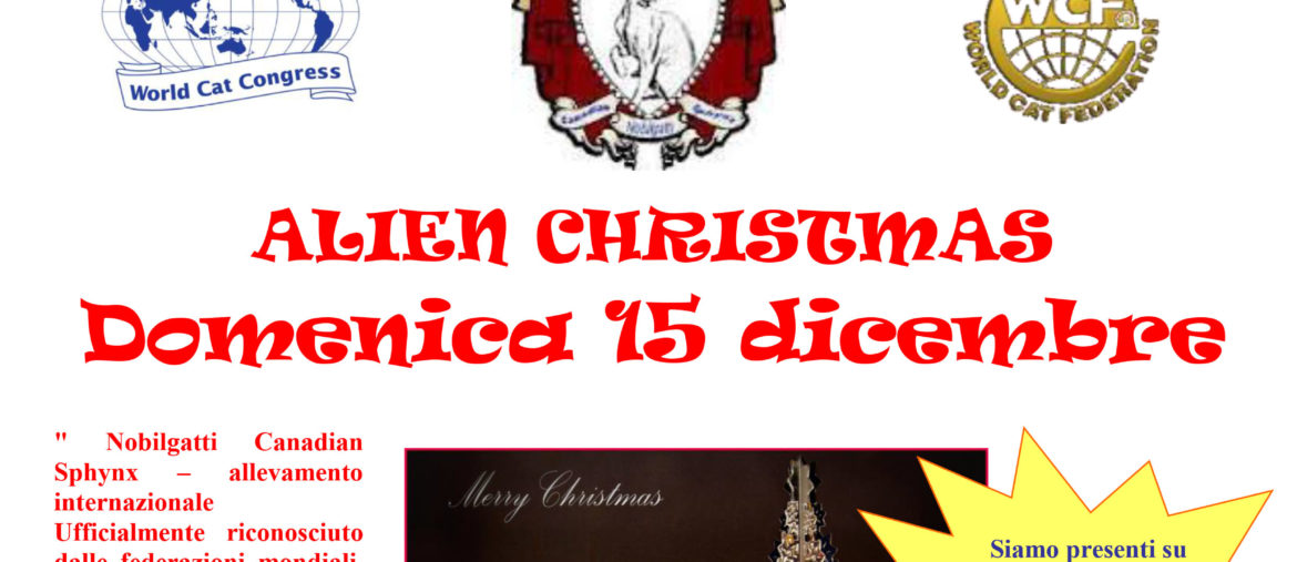 Alien Christmas Palmanova (Udine) 15-12-2013